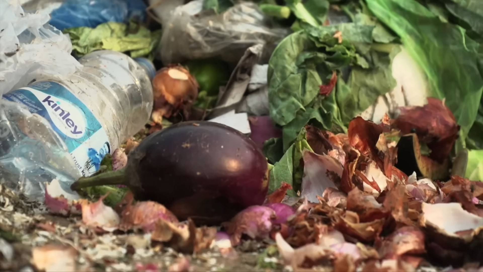 Close-up image of discarded vegetables, plastic bottles, and onion peels mixed together in a garbage pile