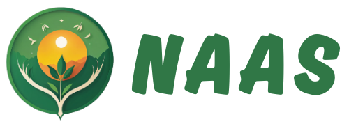 Naas India